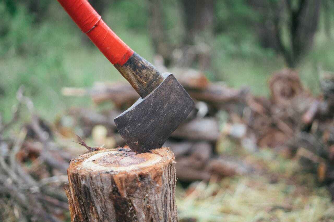 Best Stump Grinding Near Me  in Manchester, MD